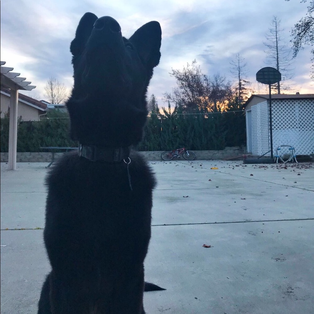 Meet your Posher, Aman